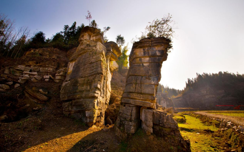 Honeyview_image005.jpg Honeyview_image005.jpg