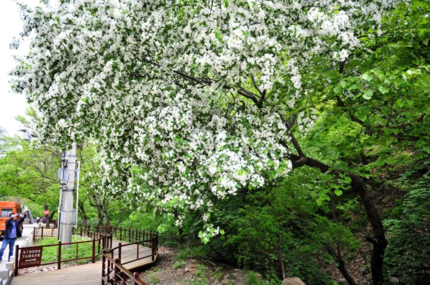 image013 (2).jpg image013 (2).jpg